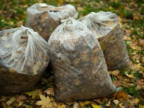 Garden Debris Hauling Yuba City