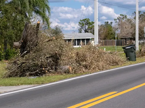 Tree Branch Hauling Yuba City